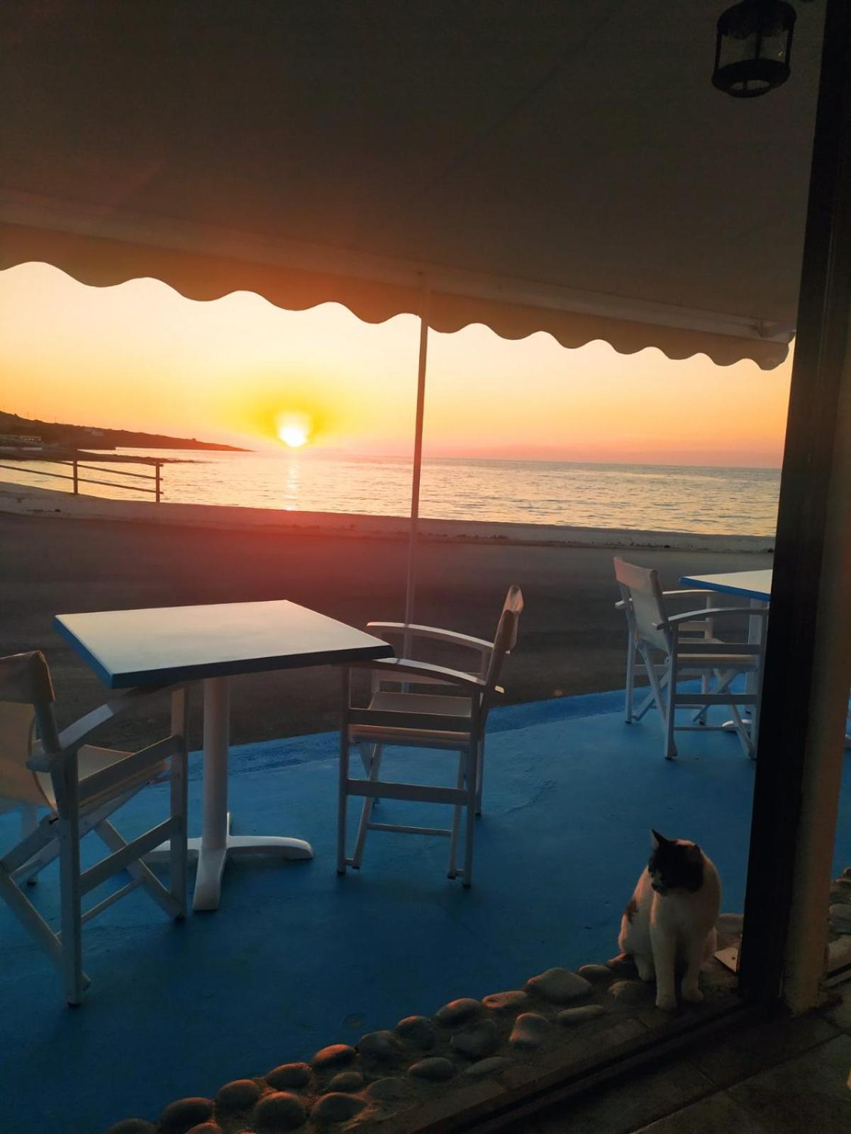 Meltemi Beach Apartments Milatos Exteriör bild